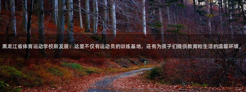 vsport体育官网下载招商电话号码:黑龙江省体育运动学校新