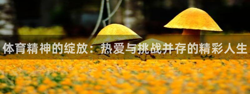 vsport体育官网下载平台注册要钱吗:体育精神的绽放:热爱