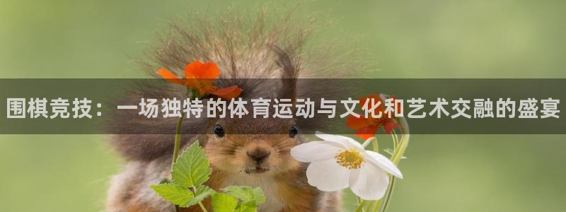 vsport体育官网下载招商电话号码是多少:围棋竞技:一场独