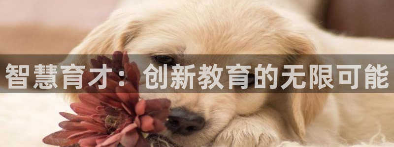 vsport体育官方正版app娱乐40996:智慧育才:创新