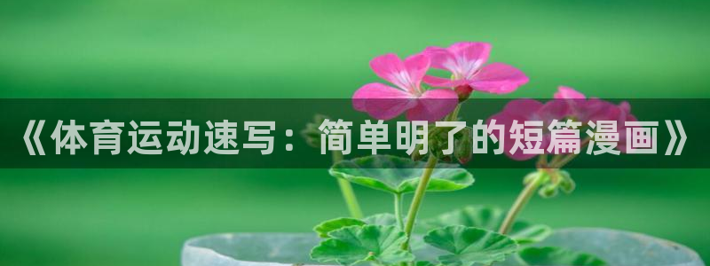 vsport体育官方正版app集团官网网址:《体育运动速写: